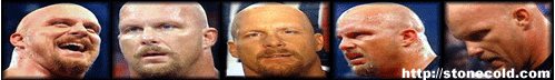 austin-banner.gif