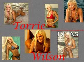 wwe---torrie-wilsontn.jpg