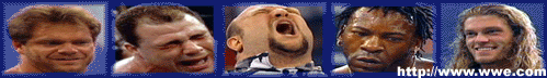 wwe-banner.gif